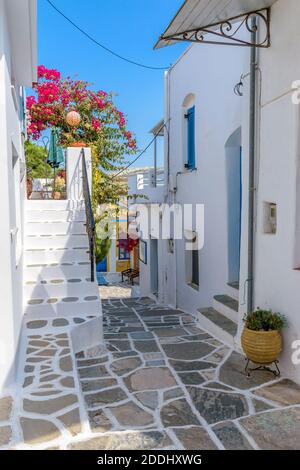 Malerische Gasse mit einer blühenden Bougainvillea und weiß getünchten traditionellen Häusern in Lefkes Paros Griechenland. Stockfoto