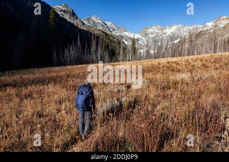 WA17750-00..... WASHINGTON - Frau beim Wandern durch die Entiat Meadows in der Nähe der Quellgebiete des Entiat River Valley, Glacier Peak Wilderness, Okanogan Stockfoto