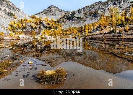 WA17780-00..... WASHINGTON - Lärchen in Herbstfarbe am Lower Ice Lake, Glacier Peak Wilderness, Okanogan Wenatchee National Forest. Stockfoto