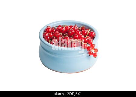 Rote Gartencurrant in einem blauen Tonbecher Stockfoto