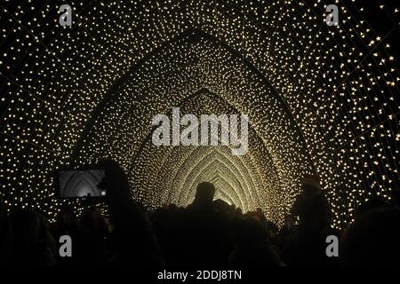 Christmas at Kew, die jährliche festliche Lichtermesse im Royal Botanic Gardens, die einen Lichtweg und Ausstellungen auf dem ikonischen Palm House umfasst Stockfoto