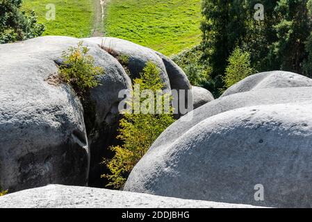 Elephant Sandstone Rocks, Sloni kameny, bei Jitrava im Lausitzer Gebirge, Tschechische Republik Stockfoto