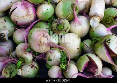 Kiste mit riesigen grünen und weißen Wassermelonen Winterraden auf einem Bauernmarkt Stockfoto