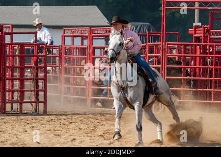 Barrel Racer bei einem Western-Rodeo-Event. Stockfoto