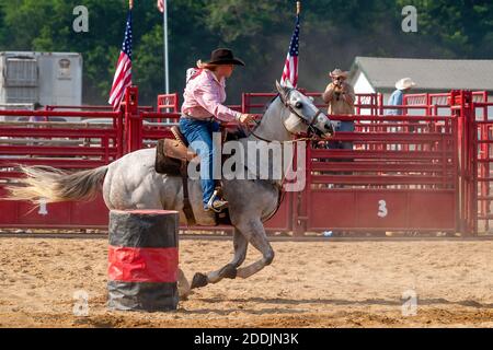 Barrel Racer bei einem Western-Rodeo-Event. Stockfoto