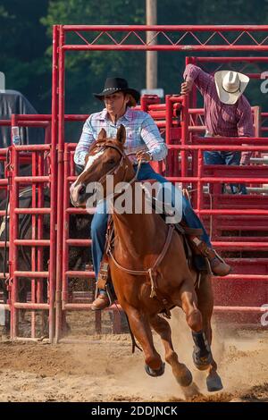 Barrel Racer bei einem Western-Rodeo-Event. Stockfoto