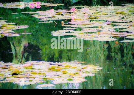 Les Jardins de Monet à Giverny - Monets Garten - Haus und Seerosengärten des französischen Künstlers Claude Monet in Giverny, Frankreich Stockfoto