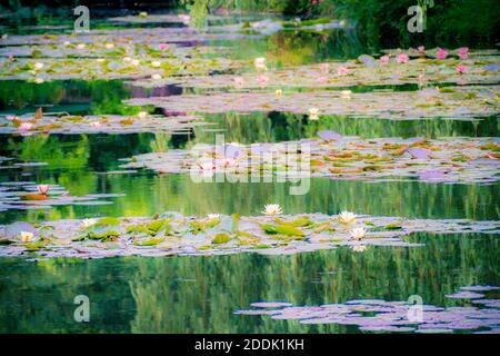 Les Jardins de Monet à Giverny - Monets Garten - Haus und Seerosengärten des französischen Künstlers Claude Monet in Giverny, Frankreich Stockfoto