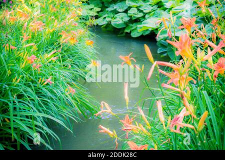 Les Jardins de Monet à Giverny - Monets Garten - Haus und Seerosengärten des französischen Künstlers Claude Monet in Giverny, Frankreich Stockfoto