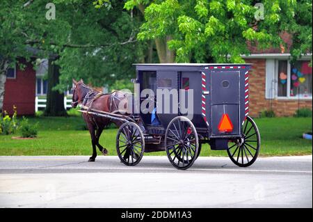 Arthur, Illinois, USA. Ein Amish Pferdekutsche macht seinen Weg auf einer gepflasterten Straße in der Nähe der Innenstadt von Arthur, Illinois. Stockfoto