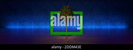 Baum mit Rahmen auf schwarzem Hintergrund. 3d-Rendering Stockfoto