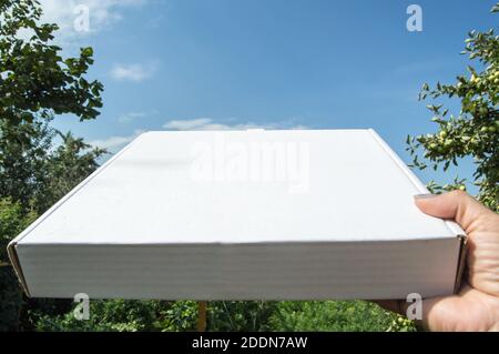 Pizzalieferung. Eine Frauenhand hält einen weißen Karton mit Platz für Text im Freien, im Sommer Stockfoto