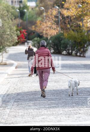 Athen Griechenland. 22. November 2020. Frau zu Fuß mit einem Hund im Stadtzentrum, Areopagitou Straße. Coronavirus-Lockdown-Tage. Stockfoto