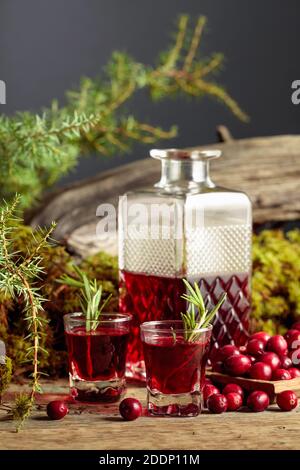 Preiselbeeren und Preiselbeerlikör auf einem alten Holztisch. Im Hintergrund Moos, Wacholderzweig und alte Schnecke. Stockfoto