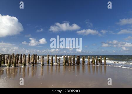 Geographie / Reisen, Deutschland, Schleswig-Holstein, Insel Sylt, alte Holzgroyne vor Rantum, Additional-Rights-Clearance-Info-Not-available Stockfoto