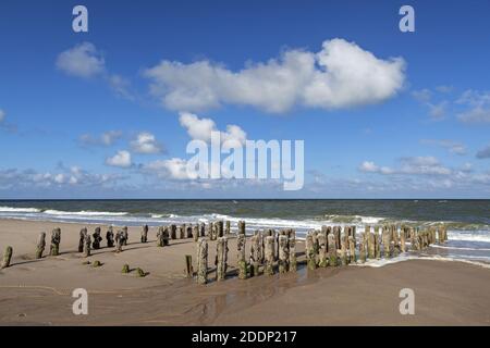 Geographie / Reisen, Deutschland, Schleswig-Holstein, Insel Sylt, alte Holzgroyne vor Rantum, Additional-Rights-Clearance-Info-Not-available Stockfoto