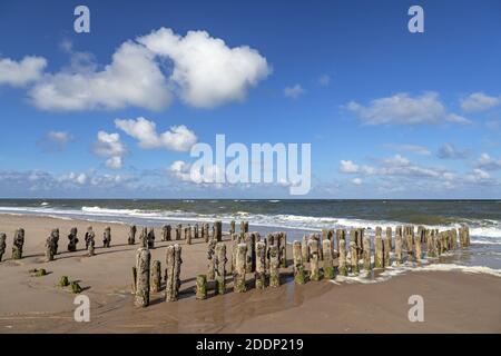 Geographie / Reisen, Deutschland, Schleswig-Holstein, Insel Sylt, alte Holzgroyne vor Rantum, Additional-Rights-Clearance-Info-Not-available Stockfoto