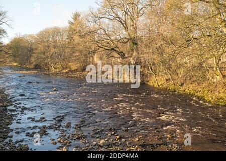 Herbstansicht des Flusses tragen bei Stanhope, Co. Durham, England, Großbritannien Stockfoto