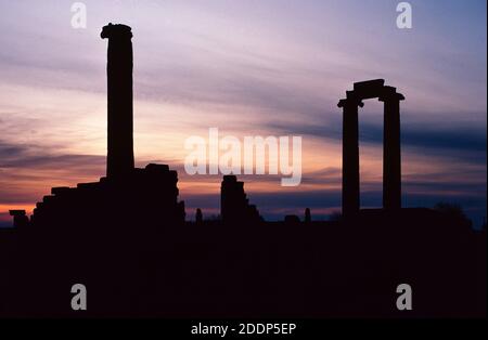 Klassische Ruinen, die bei Dämmerung oder Sonnenuntergang im Tempel des Apollon oder Tempel des Apollon in der antiken Stadt Didyma, Didim Türkei, geschildet wurden Stockfoto