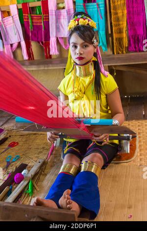 Padaung Dame, langhalsige Dame, Weberei in Ywama Dorf, Shan Staat, Inle See, Myanmar (Burma), Asien im Februar Stockfoto