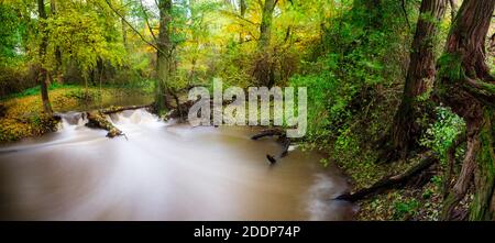 Herbstlandschaft schöne bunte Bäume über dem Fluss. Wunderbare malerische Hintergrund. Farbe in der Natur. Stockfoto