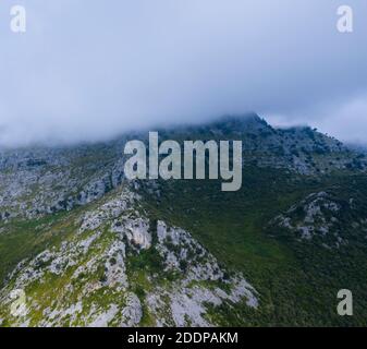 Candina Mountain, Springtime, Encinar Cantábrico, Eiche, Candina Mountain, Liendo, Liendo Valley, Montaña Oriental Costera, Kantabrien, Spanien, Europa Stockfoto