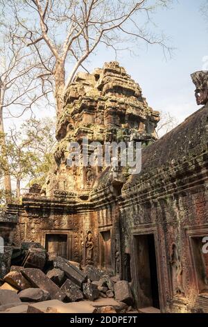 Ruine Turm am 12. Jahrhundert alten Hindu Khmer Tempel Ta Prohm in Angkor, Kambodscha Stockfoto