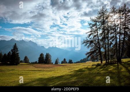Landschaft mit Bäumen und Bergen Stockfoto