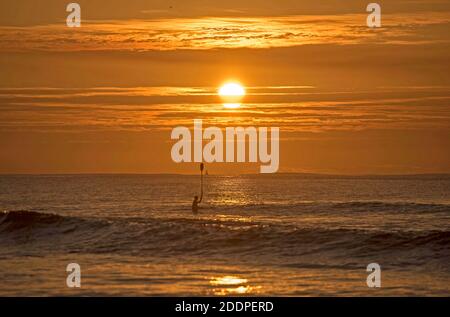 Swansea, Großbritannien. November 2020. Surfer, die das Beste aus dem Wellengang und dem Meer machen, werden heute Morgen in der Langland Bay in der Nähe von Swansea in den goldenen Schein des Sonnenaufgangs getaucht. Quelle: Phil Rees/Alamy Live News Stockfoto