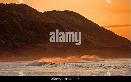 Swansea, Großbritannien. November 2020. Schwimmer machen das Beste aus dem atemberaubenden Wetter, während das Meer in den goldenen Glanz des Sonnenaufgangs in Langland Bay in der Nähe von Swansea an diesem Morgen gebadet. Quelle: Phil Rees/Alamy Live News Stockfoto