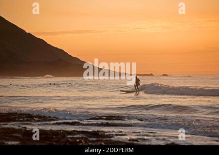 Swansea, Großbritannien. November 2020. Surfer, die das Beste aus dem Wellengang und dem Meer machen, werden heute Morgen in der Langland Bay in der Nähe von Swansea in den goldenen Schein des Sonnenaufgangs getaucht. Quelle: Phil Rees/Alamy Live News Stockfoto