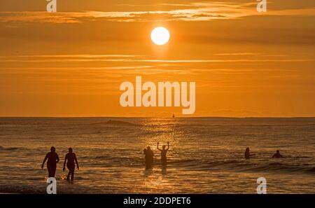 Swansea, Großbritannien. November 2020. Schwimmer machen das Beste aus dem atemberaubenden Wetter, während das Meer in den goldenen Glanz des Sonnenaufgangs in Langland Bay in der Nähe von Swansea an diesem Morgen gebadet. Quelle: Phil Rees/Alamy Live News Stockfoto