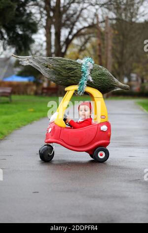 Niedlicher einjähriger Junge namens Oscar, der als Weihnachtsmann gekleidet war und einen kleinen Weihnachtsbaum auf seinem klassischen roten Tikes-Auto in Großbritannien ablieferte. Stockfoto