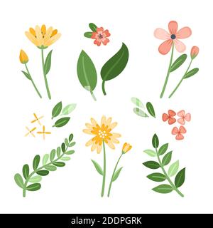 Verschiedene Blumen mit Blättern flach Design Kollektion Vektor Illustration Stock Vektor