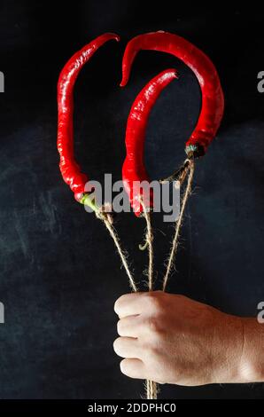 Kreativer Bouquet Chilischoten in der Hand eines Mannes auf schwarzem Hintergrund. Drei rote Chilischoten mit Binden. Stockfoto