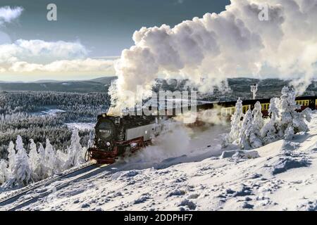 Winter am Brocken - Schmalspurbahn Harz, Deutschland, Niedersachsen, Nationalpark Harz, Brocken Stockfoto