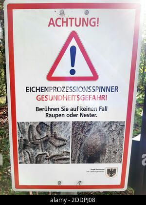 Eichenprozessionarmotte (Thaumetopoea processionea), Warnschild gegen Raupen der Eichenprozessionarmotte, Deutschland Stockfoto