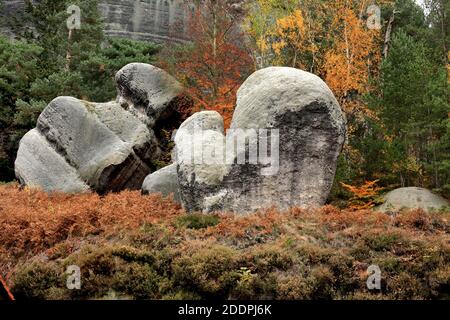 Sandsteinfelsen bei Oybin im Zittauer Gebirge, Deutschland, Sachsen, Oybin Stockfoto