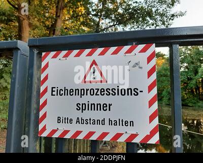 Eichenprozessionarmotte (Thaumetopoea processionea), Warnschild gegen Raupen der Eichenprozessionarmotte, Deutschland Stockfoto