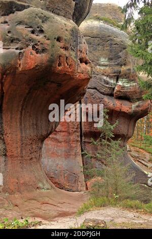 Felsformation Kelchstein im Zittauer Gebirge, Deutschland, Sachsen, Oybin Stockfoto