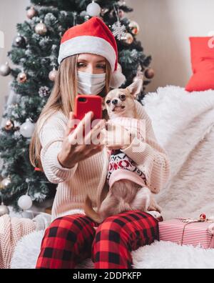 Frau in medizinischen Schutzmaske und Hund in Pullover Spaß macht Selfie-Porträt auf dem Handy in den Winterferien, genießen Sie Weihnachtszeit Stockfoto