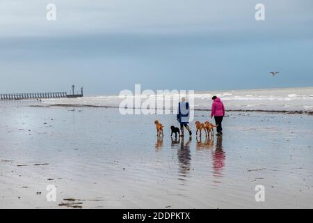 Hundespaziergänger genießen einen angenehmen Nachmittag am Climping Beach in der Nähe von Littlehampton, West Sussex bei Ebbe mit Labradors, die gerne abseits der Leine sind Stockfoto