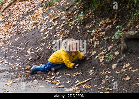 Bournemouth, Dorset, Großbritannien. November 2020. UK Wetter: Jungs wollen einfach nur Spaß haben - Peppe und Rudi, im Alter von 3 und 2, spielen in den Herbstblättern in den Chines bei Alum Chine, Bournemouth an einem kalten trüben grauen Tag (Erlaubnis erhalten). Quelle: Carolyn Jenkins/Alamy Live News Stockfoto