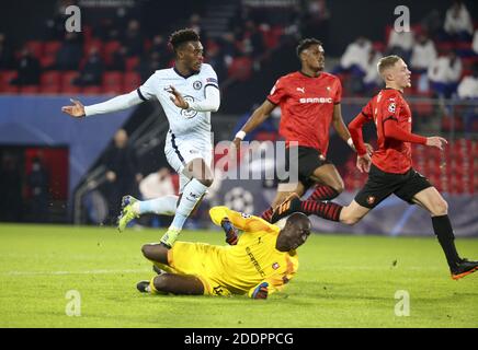 Callum Hudson-Odoi von Chelsea erzielt sein Tor trotz Torwart von Stade Rennais Alfred Gomis während der UEFA Champions League, / LM Stockfoto