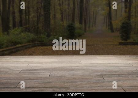 Leere alte Holzplatte. Kopieren Raum mit Hintergrund Landschaft des Waldes im Herbst Stockfoto