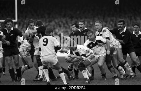 25. Oktober 1989 Rugby Union Neath gegen die All Blacks, die Gnoll, Neath, Wales. Matxch Action vor 12,000 Fans. Foto von Tony Henshaw Stockfoto