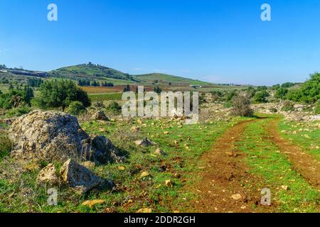 Blick auf Obergaliläa Landschaft, mit Hügeln und Weinbergen. Nord-Israel Stockfoto