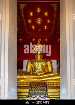 Das buddha-Bild in der hauptvihan in Wihan Phra Mongkhon Bophit in der Provinz Ayutthaya in Thailand. Selektiver Fokus. Stockfoto