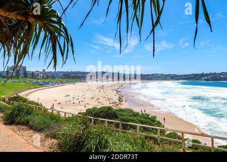 Bondi Beach, Sydney, Australien - Menschen genießen den berühmten Bondi Beach in Sydney, Australien. Stockfoto