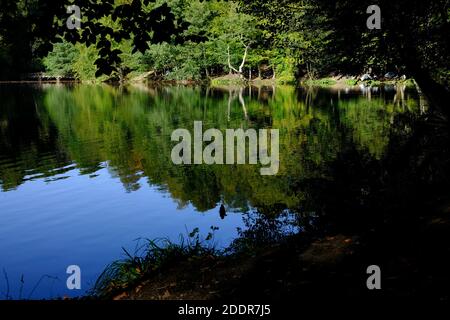 Der Yedigöller Nationalpark (türkisch: Yedigöller, 'Seven Seen'), auch bekannt als Seven Lakes National Park, liegt im nördlichen Teil von Bolu Prov Stockfoto